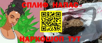 кокс Котовск